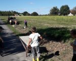 Przedszkolaki na wykopkach