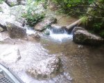 WYCIECZKA W PIENINY