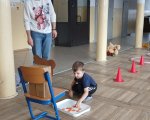 Dzień Pluszowego Misia – 25 listopada 2025