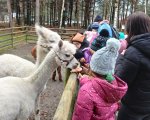Magia Świąt w Doboszówce i naszej szkole