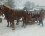 Zimowa przygoda – kulig w Janowie Lubelskim